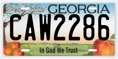 GA license plate CAW2286