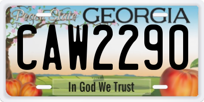 GA license plate CAW2290