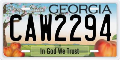 GA license plate CAW2294