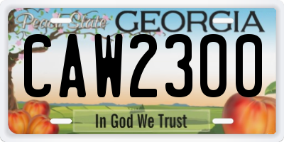 GA license plate CAW2300