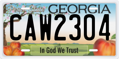 GA license plate CAW2304