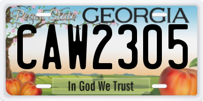GA license plate CAW2305
