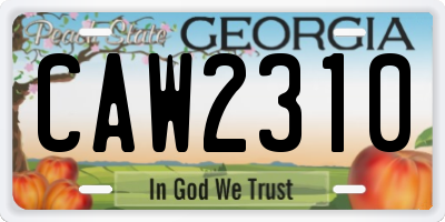 GA license plate CAW2310