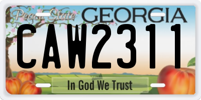 GA license plate CAW2311