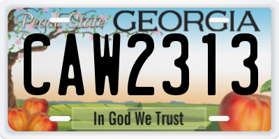 GA license plate CAW2313