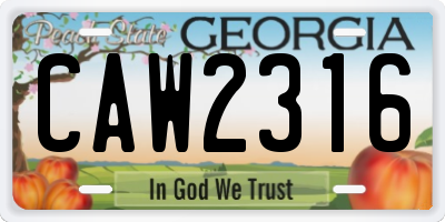 GA license plate CAW2316