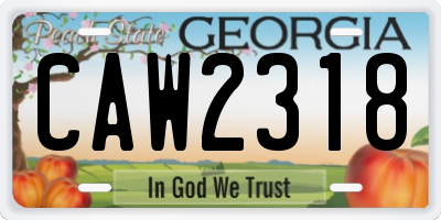 GA license plate CAW2318