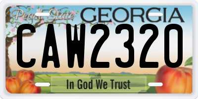 GA license plate CAW2320