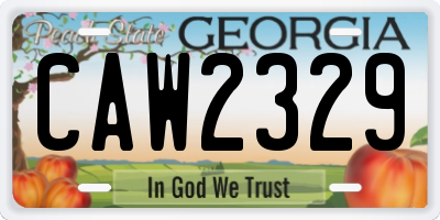 GA license plate CAW2329