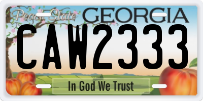 GA license plate CAW2333
