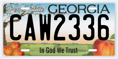 GA license plate CAW2336