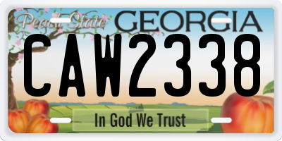 GA license plate CAW2338