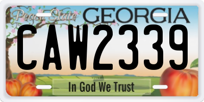 GA license plate CAW2339