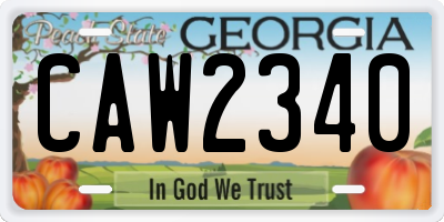 GA license plate CAW2340