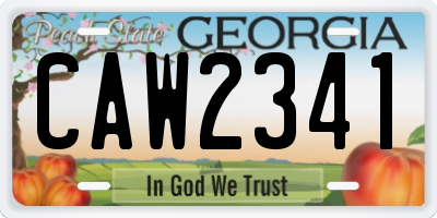 GA license plate CAW2341