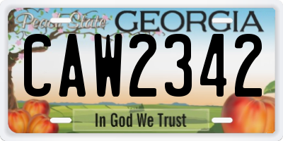 GA license plate CAW2342