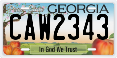 GA license plate CAW2343