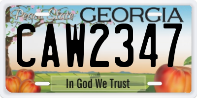 GA license plate CAW2347