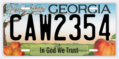 GA license plate CAW2354