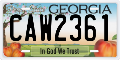 GA license plate CAW2361
