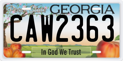 GA license plate CAW2363