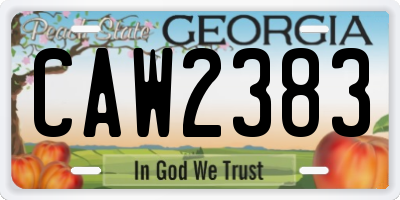GA license plate CAW2383