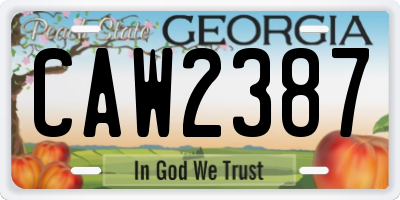 GA license plate CAW2387