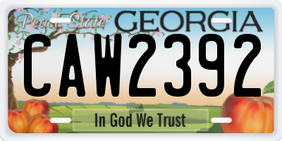 GA license plate CAW2392
