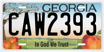 GA license plate CAW2393