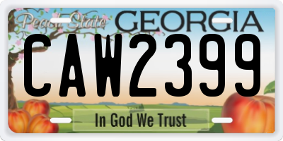 GA license plate CAW2399