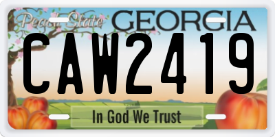 GA license plate CAW2419