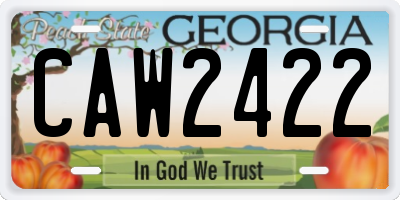 GA license plate CAW2422