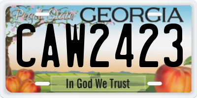 GA license plate CAW2423