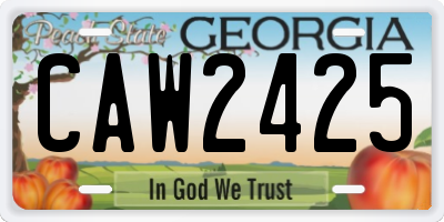 GA license plate CAW2425
