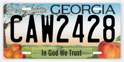GA license plate CAW2428