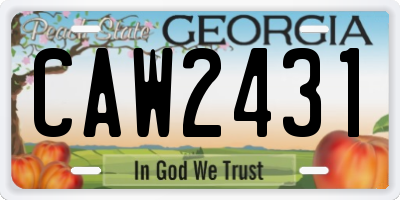 GA license plate CAW2431