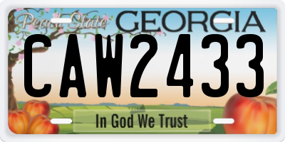 GA license plate CAW2433