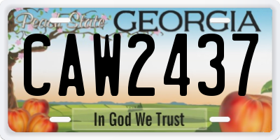 GA license plate CAW2437