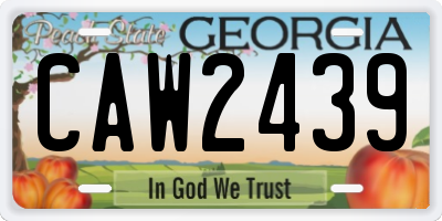 GA license plate CAW2439