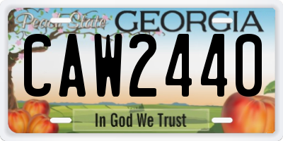GA license plate CAW2440