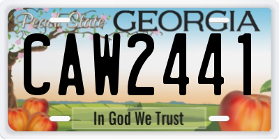 GA license plate CAW2441