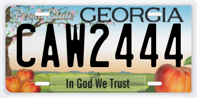 GA license plate CAW2444