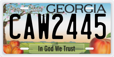 GA license plate CAW2445