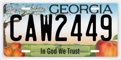 GA license plate CAW2449