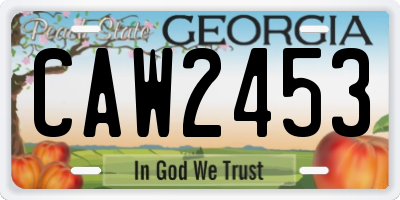 GA license plate CAW2453