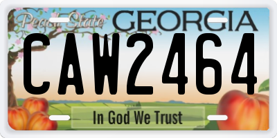 GA license plate CAW2464