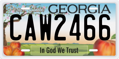 GA license plate CAW2466