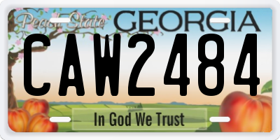 GA license plate CAW2484