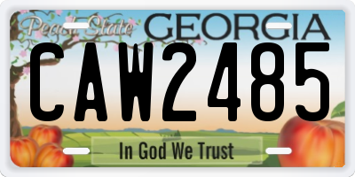 GA license plate CAW2485