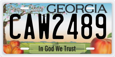 GA license plate CAW2489